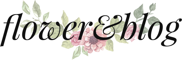 misachaan blog